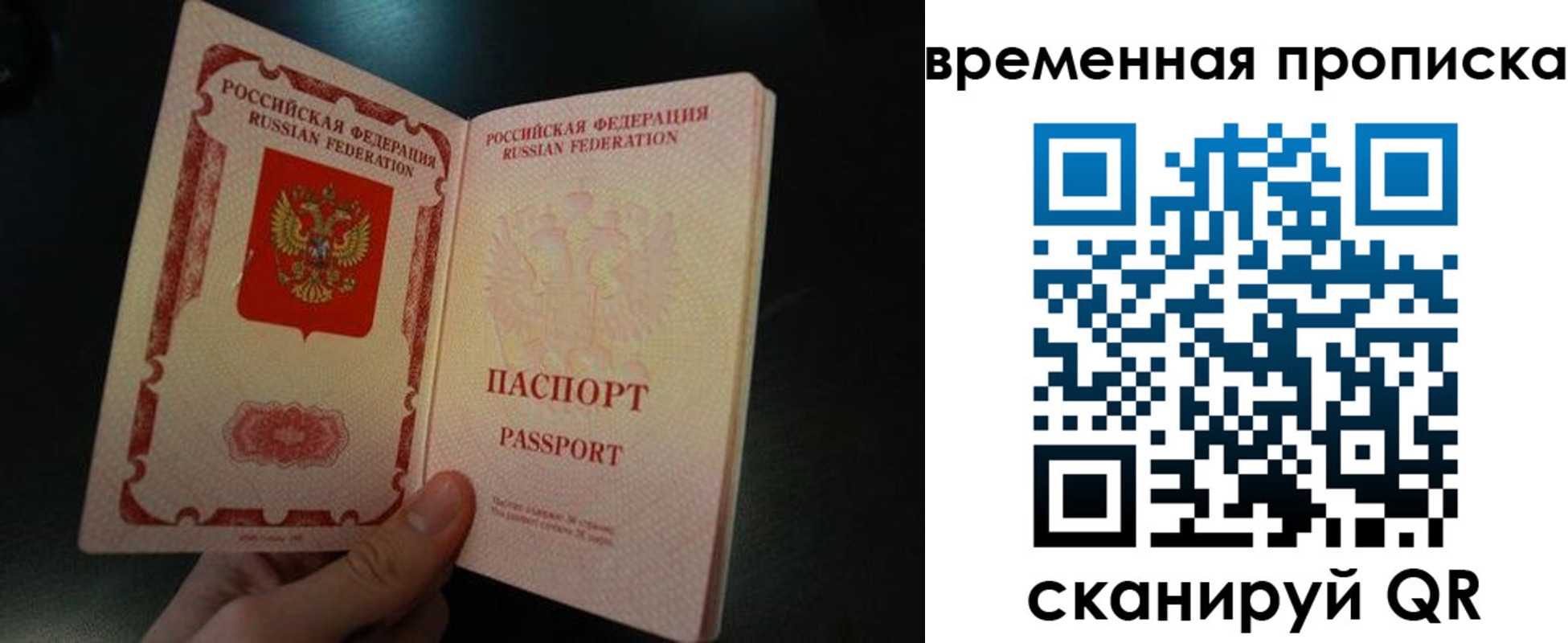 временная регистрация гарантия в Луге