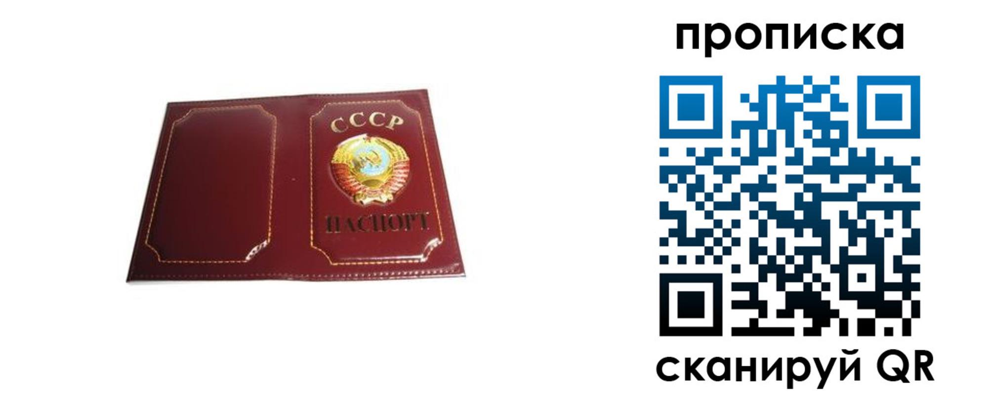 прописка гарантия в Луге